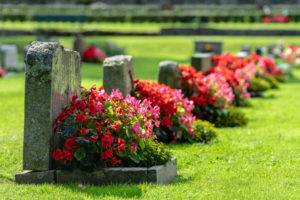gravestones with red flowers