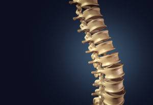 rendering of spinal column